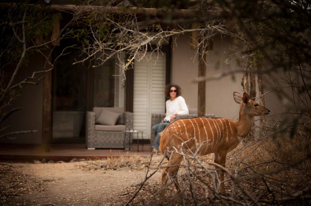 Moditlo River Lodge Hoedspruit Bagian luar foto